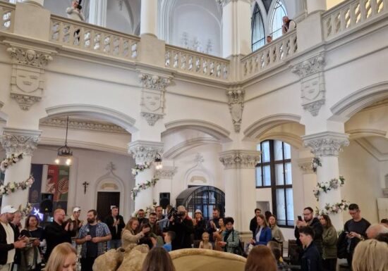 Una dintre cele mai vechi comori ale României, expusă la Palatul Culturii din Iași. ”Simți energia de acum 350.000 de ani”