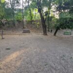 Parcul fără iarbă, oglinda neputinței unei primării din București. Cum arată spații similare din Cehia și Franța