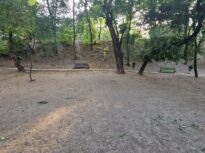Parcul fără iarbă, oglinda neputinței unei primării din București. Cum arată spații similare din Cehia și Franța