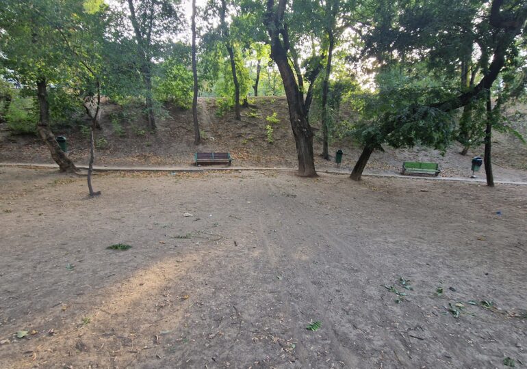 Parcul fără iarbă, oglinda neputinței unei primării din București. Cum arată spații similare din Cehia și Franța