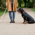 Revoluție medicală: un microcip de 2 mm le redă orbilor vederea
