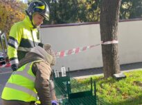 Misiunea Motanski: O pisică a fost salvată din blocul distrus de explozie în Rahova (Foto & Video)