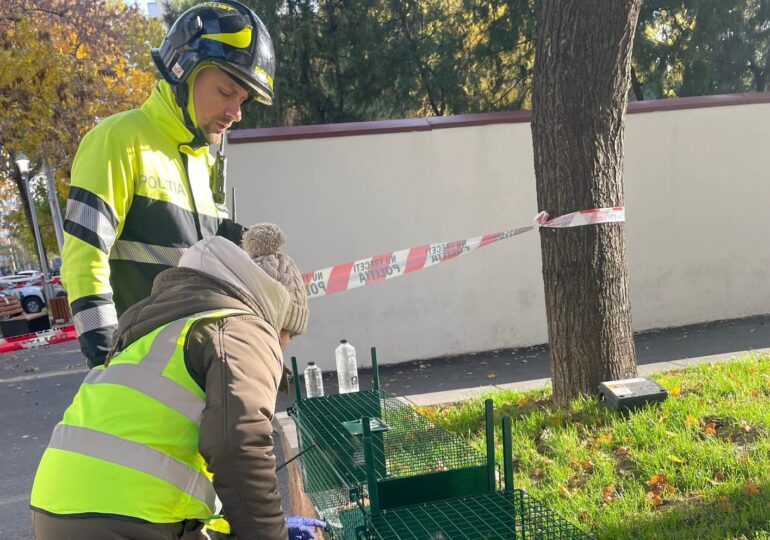 Misiunea Motanski: O pisică a fost salvată din blocul distrus de explozie în Rahova (Foto & Video)