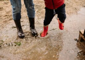 Codul roșu de ploi închide școlile din București, Constanța, Ialomița și Călărași. Marile universități din Capitală fac cursuri online sau deloc