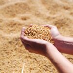 How soy became Xi’s strongest weapon against Trump