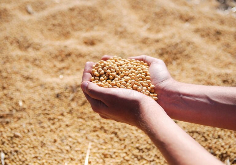 How soy became Xi's strongest weapon against Trump