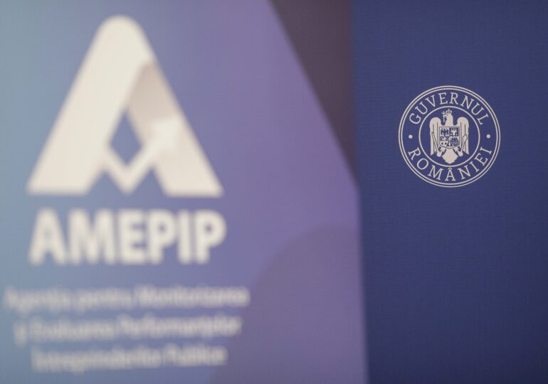 Cine este Anișoara Ulcelușe, noua șefă a agenției care va controla companiile de stat