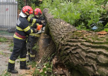 Ți-a căzut copacul pe mașină? Ce, când și cum primești, în funcție de sectorul în care ai pățit-o