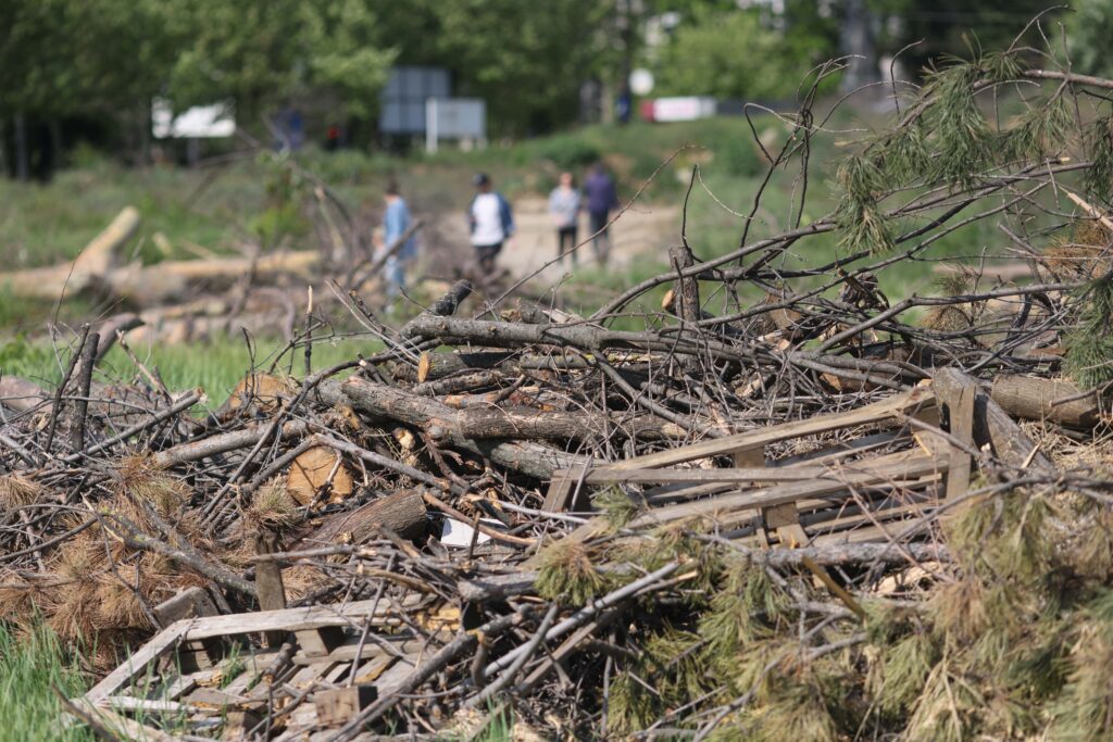 Întoarcerea la Gabriela Firea (Video)