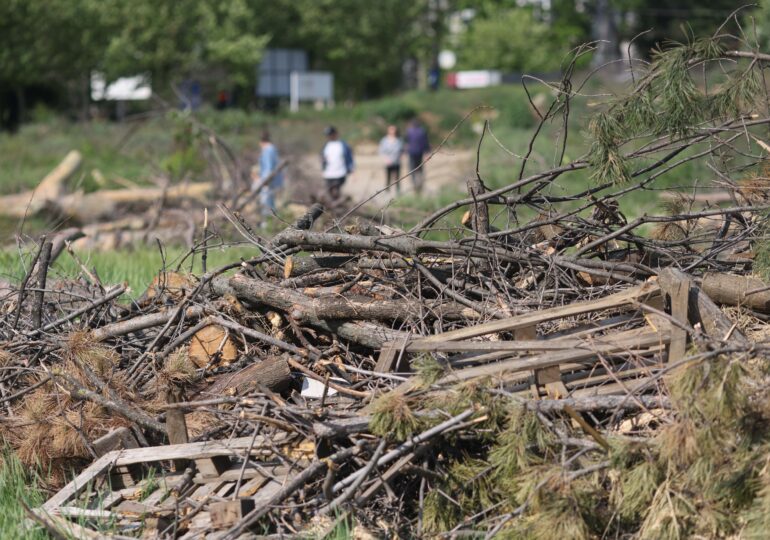 Întoarcerea la Gabriela Firea (Video)