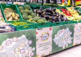 Preferințele alimentare ale românilor toamna și cum pot fi integrate în meniul zilnic