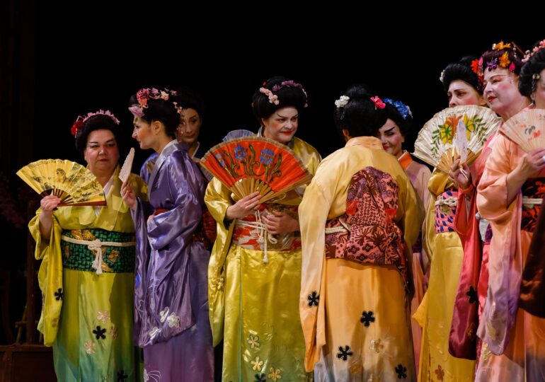 D’ale carnavalului, Tosca, Nabucco, Romeo și Julieta, Madama Butterfly, pe scena Operei Naționale București