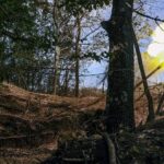 Ziua 1356 Explozii la Marea Neagră (Video). Vești contradictorii de pe front. Fostul partener de afaceri al lui Zelenski a fugit înainte de percheziții