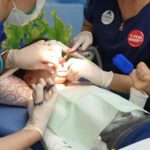 Părinții fetiței moarte la dentist spun că ambulanța a venit după mai bine de o oră. Ministrul Rogobete a trimis Corpul de Control la clinică