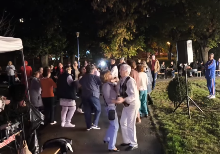 Cine și cum transformă marile parcuri ale București în iarmaroace, cu grătare și muzică de pahar (Foto&Video)