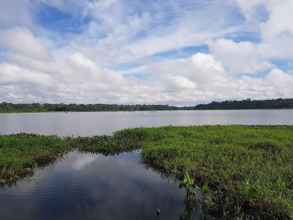 Fenomen dezastruos în pădurea amazoniană: Temperaturi fără precedent în apele lacurilor