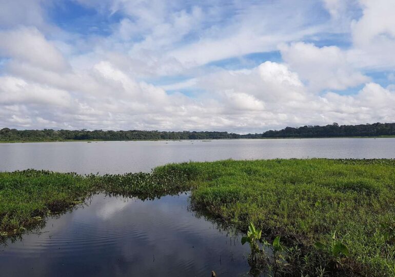 Fenomen dezastruos în pădurea amazoniană: Temperaturi fără precedent în apele lacurilor