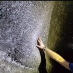 A fost găsită cea mai mare pânză de păianjen din lume! Se află în Europa