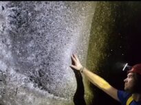 A fost găsită cea mai mare pânză de păianjen din lume! Se află în Europa