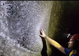 A fost găsită cea mai mare pânză de păianjen din lume! Se află în Europa