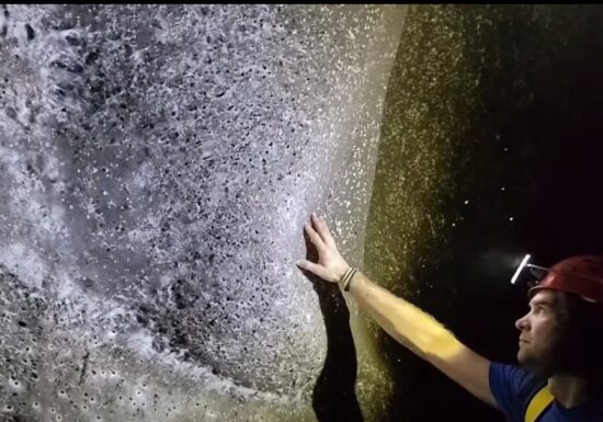 A fost găsită cea mai mare pânză de păianjen din lume! Se află în Europa