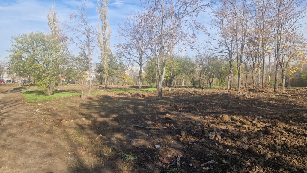 parc Grozănești 5