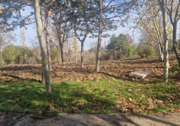 Ce se întâmplă cu cel mai tânăr parc din București: pierde primăria terenul, înainte să înceapă lucrările?