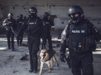 Percheziții la firmele fraților Micula: Schema prin care au încercat să scape de uriașele datorii la stat