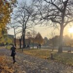 Temperaturi-surpriză în săptămâna care vine. Ceața rămâne principala problemă