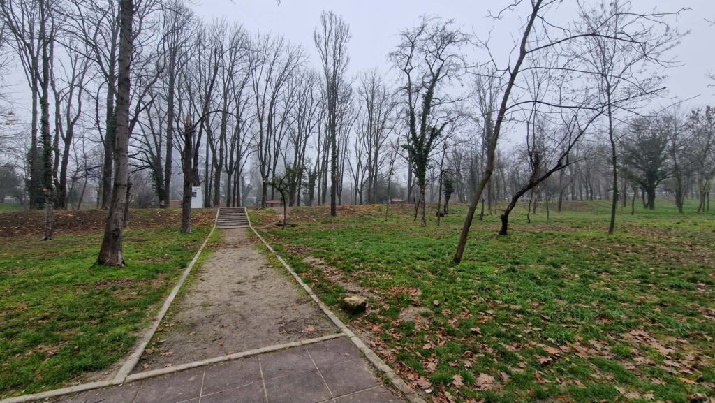 Alee stricata Parcul Verdi