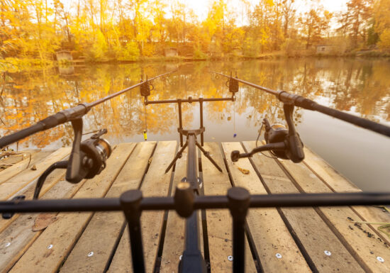 Cum alegi rod pod-ul potrivit pentru stilul tău de pescuit