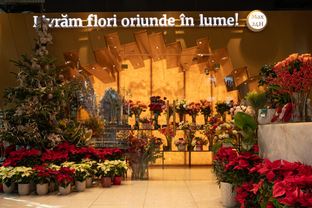 Cum arată Crăciunul pentru cea mai mare rețea de florării din România