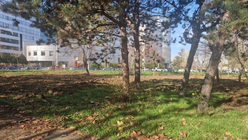 Vot la ceas de seară în Consiliul General pentru proiectul lui Ciucu: Cel mai tânăr parc din București mai primește un an de răgaz