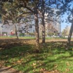Vot la ceas de seară în Consiliul General pentru proiectul lui Ciucu: Cel mai tânăr parc din București mai primește un an de răgaz