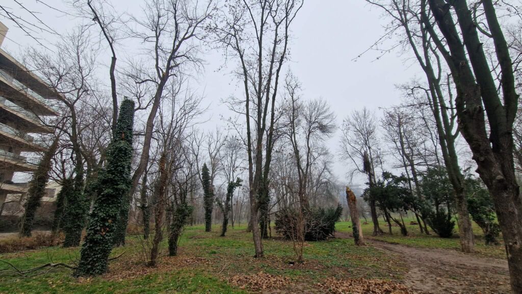 Padurice 3 Parcul Verdi