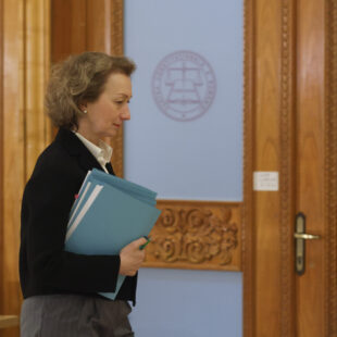 Simina Tănăsescu, judecătoare CCR