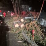 Vreme extremă pe Valea Prahovei. Cad copaci și stâlpi, transportul pe cablu este oprit. Apel către populație, să stea în case (Foto)