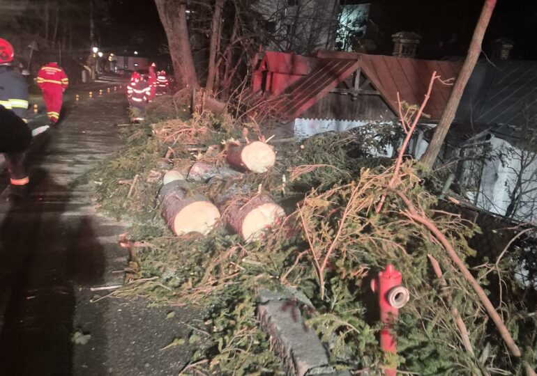 Noi episoade de vijelie pe Valea Prahovei. Cad copaci și stâlpi, instalațiile de transport pe cablu sunt oprite. Apel către populație, să stea în case (Foto)