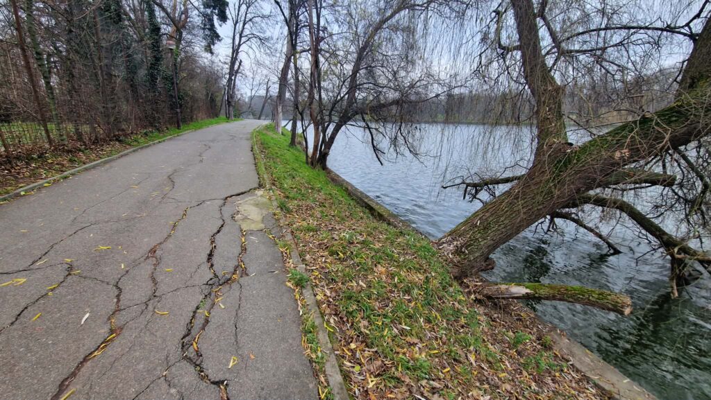 aleea crapata Herastrau