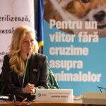 Andreea Roseti, Humane World for Animals România: „Românii încep să înțeleagă că bunăstarea animalelor și sănătatea lor merg mână în mână”