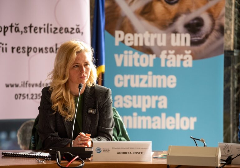 Andreea Roseti, Humane World for Animals România: „Românii încep să înțeleagă că bunăstarea animalelor și sănătatea lor merg mână în mână”