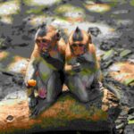 Suntem ”mai monogami” decât alte mamifere? Ai fi uimit!