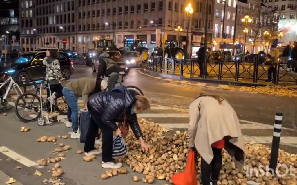 Imaginile zilei: Cartofi gratis la Bruxelles (Video)