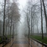 Vremea la început de iarnă: ceață densă, burniță și temperaturi peste normal. Un anticiclon puternic cuprinde România