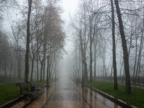 Ceață densă în mare parte din țară. Vizibilitate scăzută pe A0, A2 și A3. Recomandările polițiștilor
