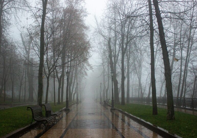 Vremea la început de iarnă: ceață densă, burniță și temperaturi peste normal. Un anticiclon puternic cuprinde România