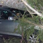 Furtună pe Valea Prahovei. Copaci doborâți în Sinaia, unul a căzut peste o mașină cu trei persoane (Foto)