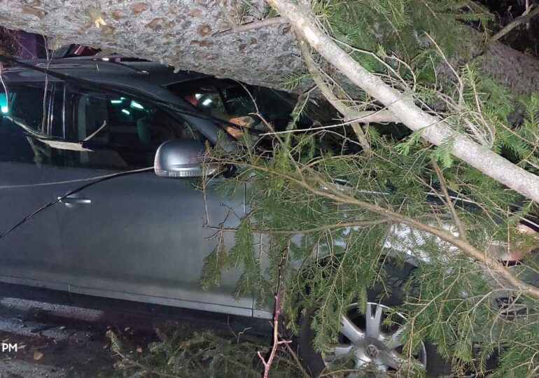 Furtună pe Valea Prahovei. Copaci doborâți în Sinaia, unul a căzut peste o mașină cu trei persoane (Foto)