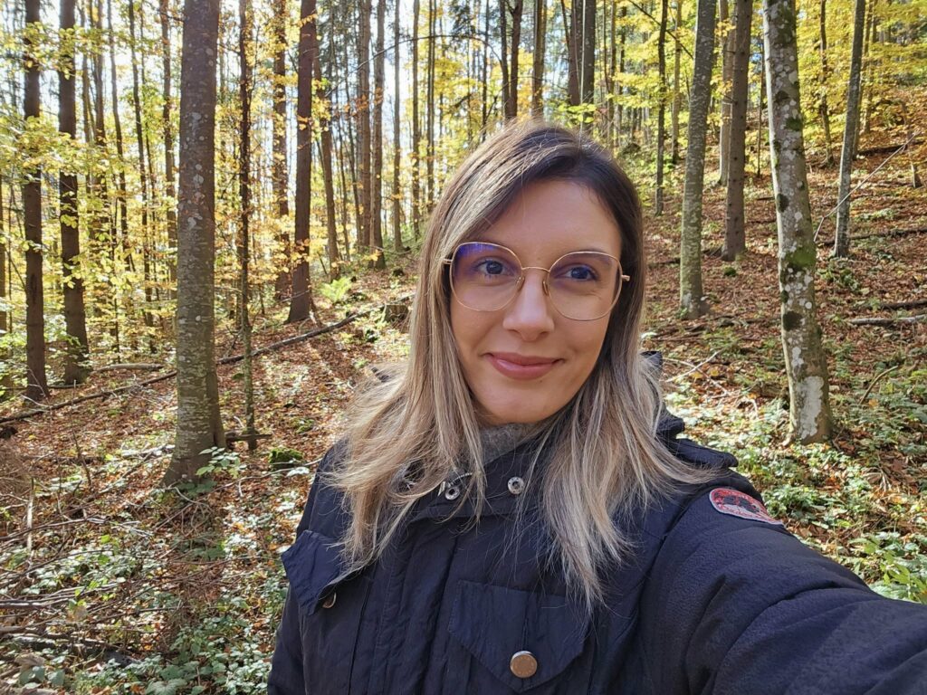 Cum vrea ministrul Mediului să oprească tăierile ilegale în păduri: Marcaje moderne și zone-pilot cu supraveghere video