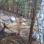 Argeș: Dronă cu parașută, găsită într-o pădure din Lerești. Autoritățile verifică proveniența aparatului UPDATE